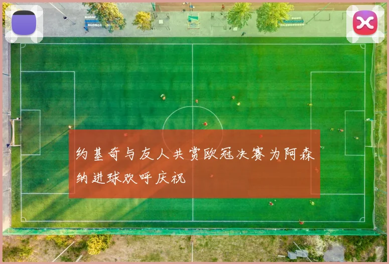约基奇与友人共赏欧冠决赛为阿森纳进球欢呼庆祝