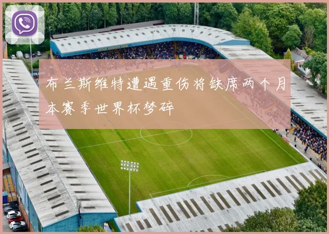 布兰斯维特遭遇重伤将缺席两个月本赛季世界杯梦碎