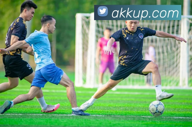 华体会官网登录入口服务体系